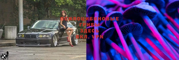 шишки Аркадак