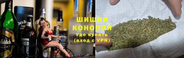 шишки Аркадак