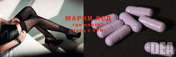 шишки Аркадак