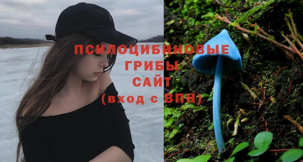 шишки Аркадак