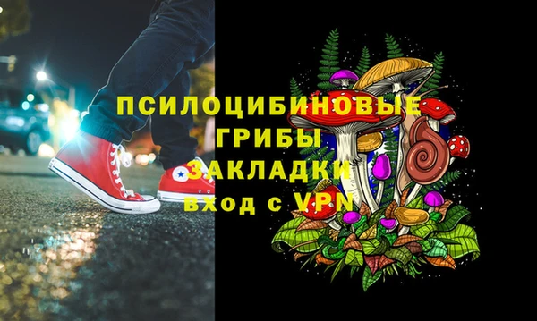 шишки Аркадак