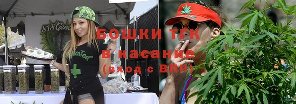 шишки Аркадак