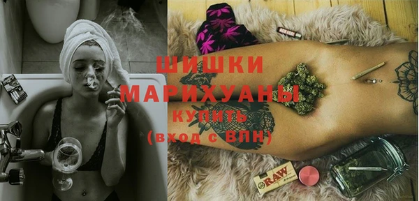 шишки Аркадак