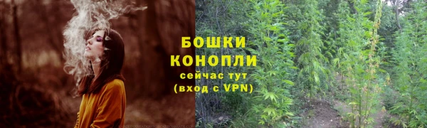 мяу мяу кристалл Покачи