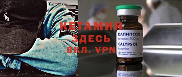 шишки Аркадак