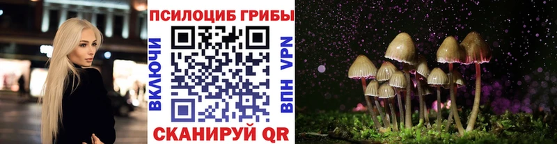 Галлюциногенные грибы мицелий  закладка  Октябрьск 